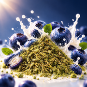 Blueberry Fruit-Infused Shake 28G