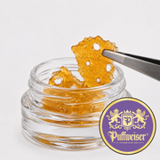 Purple Punch Shatter