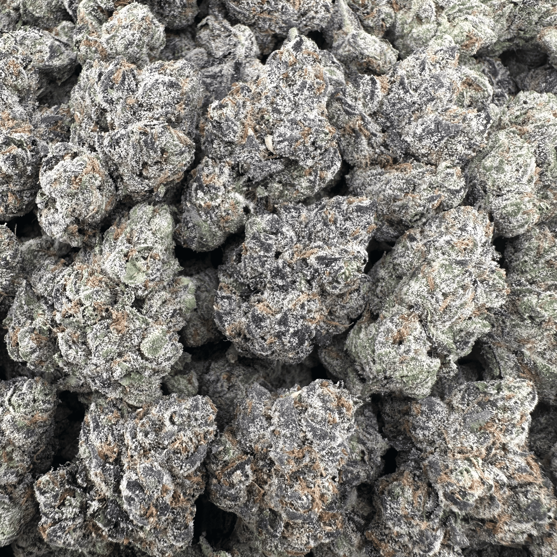 Apple Fritter