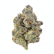 Apple Fritter Flower Wholesale