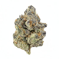 Apple Fritter Flower Wholesale