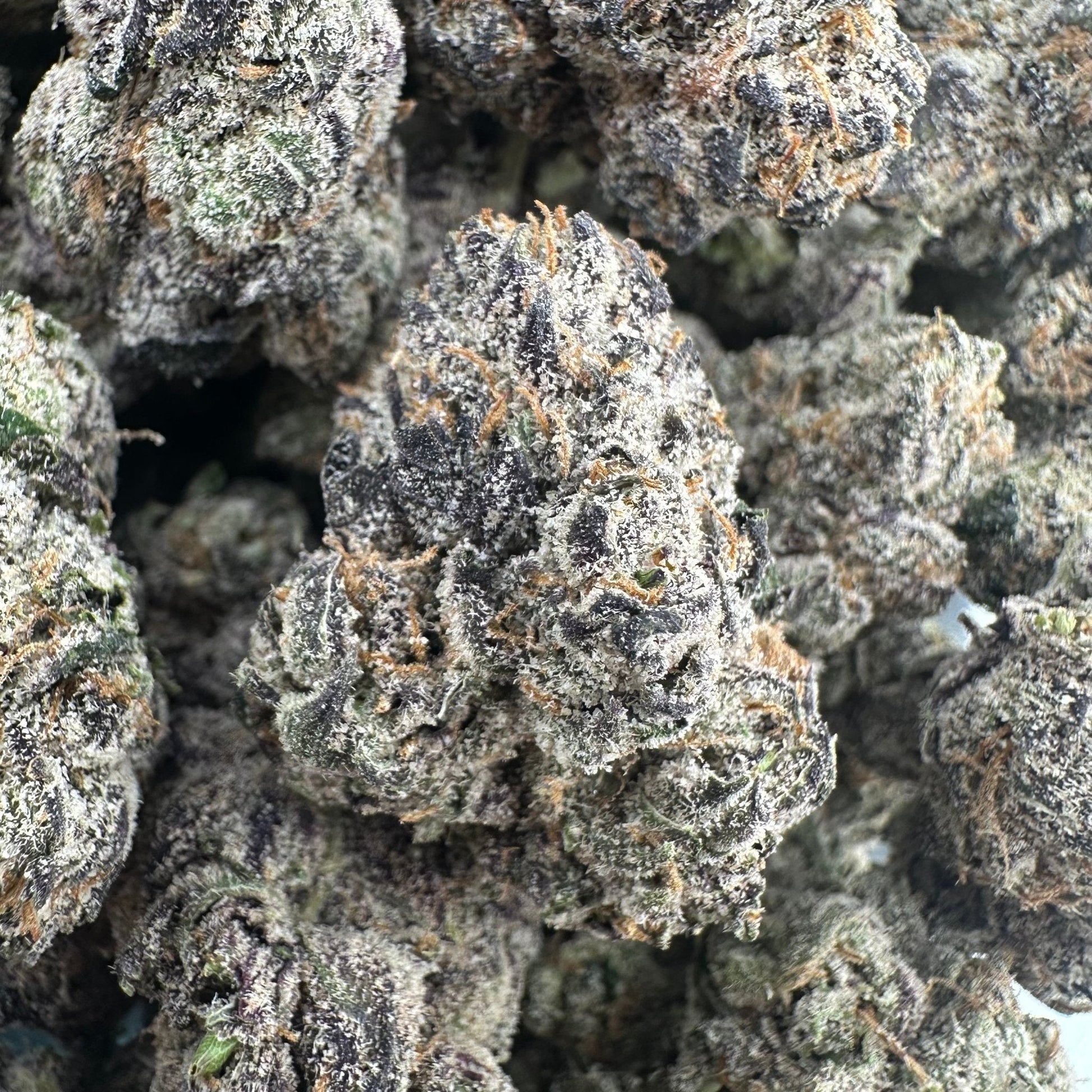 Biscotti