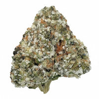 💎Biscotti - Diamond Infused Flower