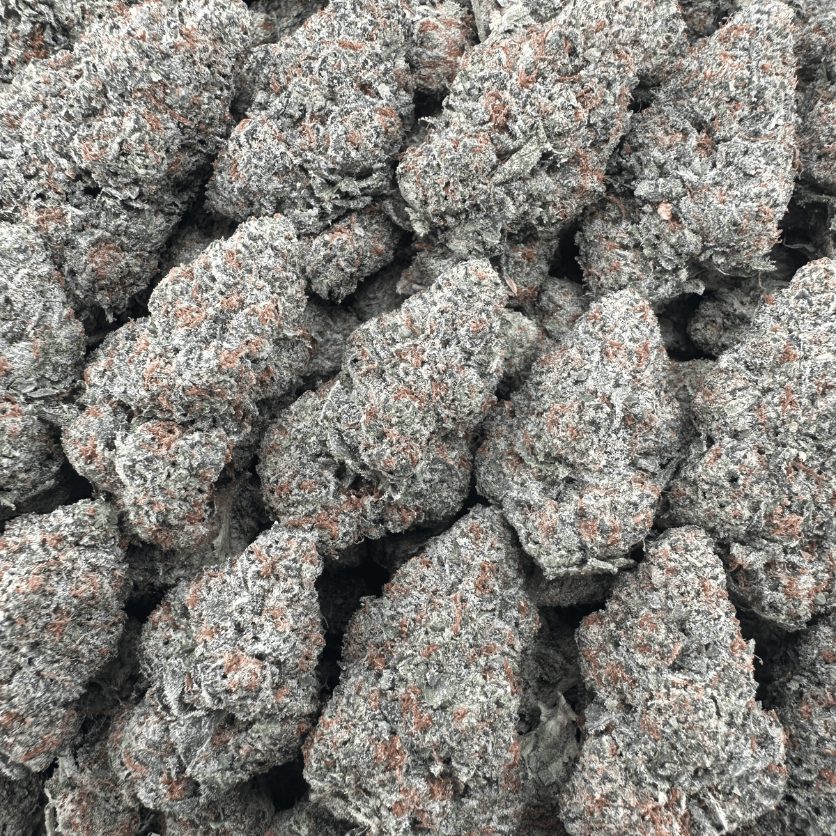 Cali Gas