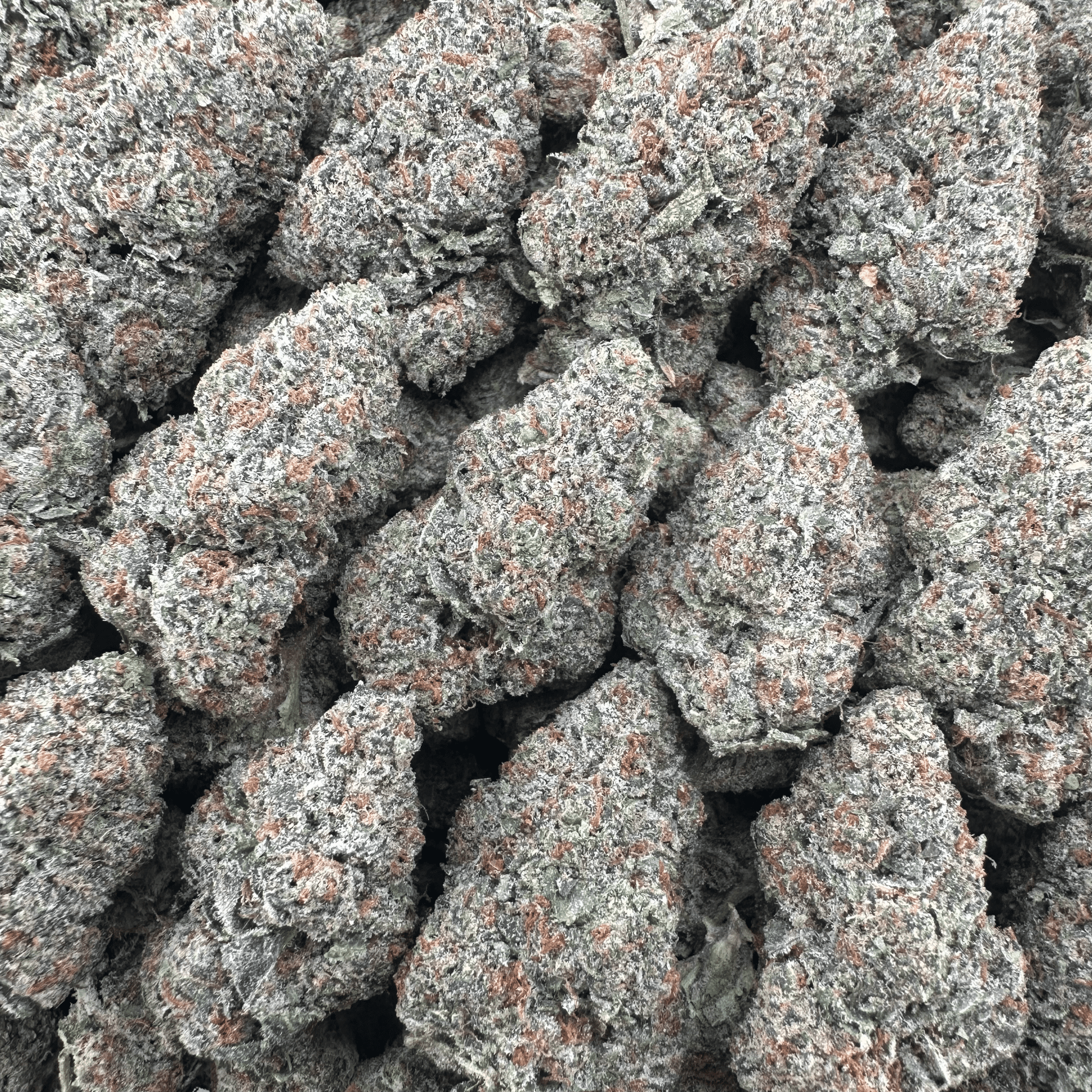 Cali Gas