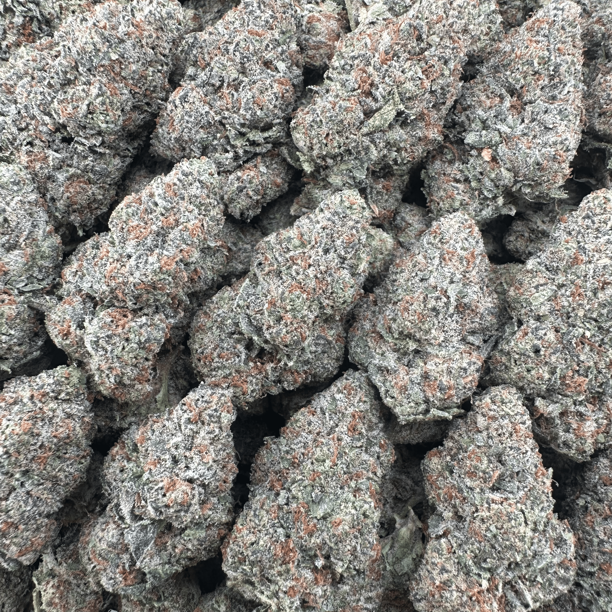 Cali Kush Flower Wholesale