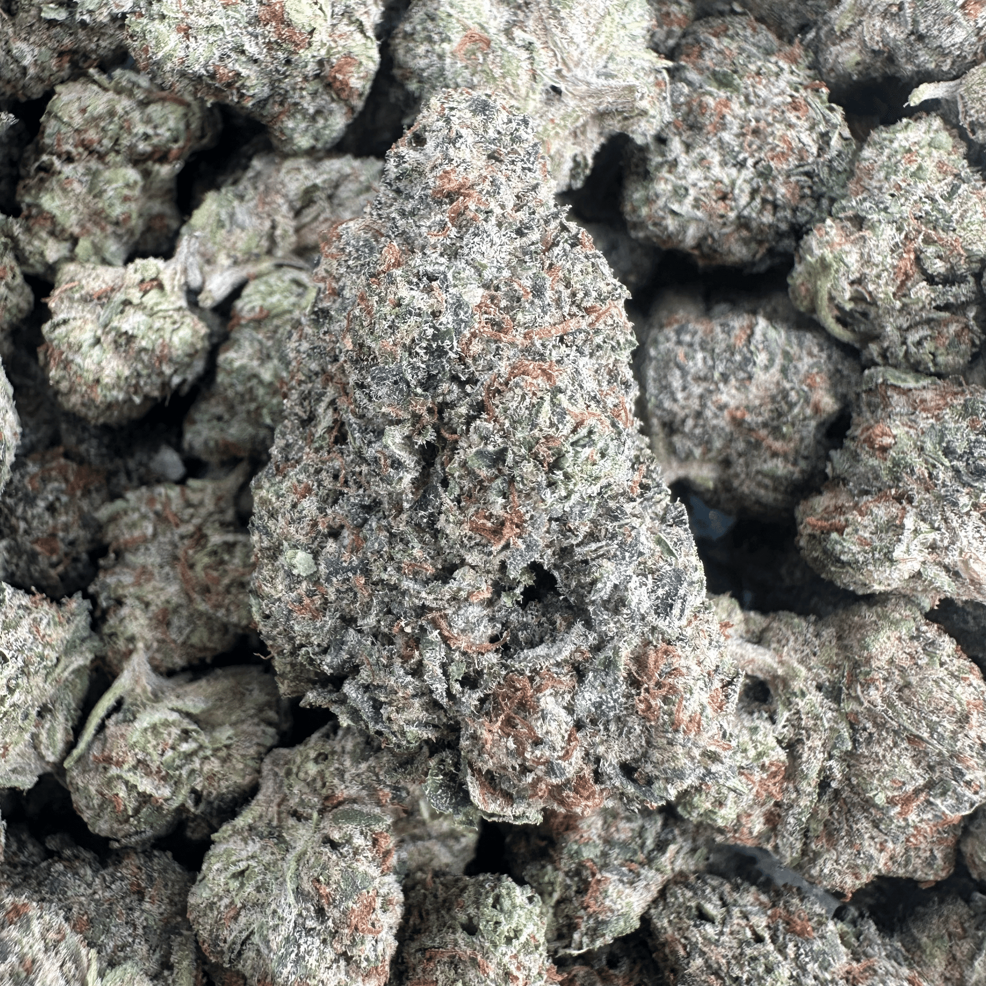 Cali Gas