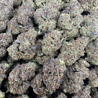 Columbia Gold Flower Wholesale