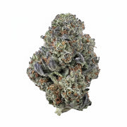Columbia Gold Flower Wholesale