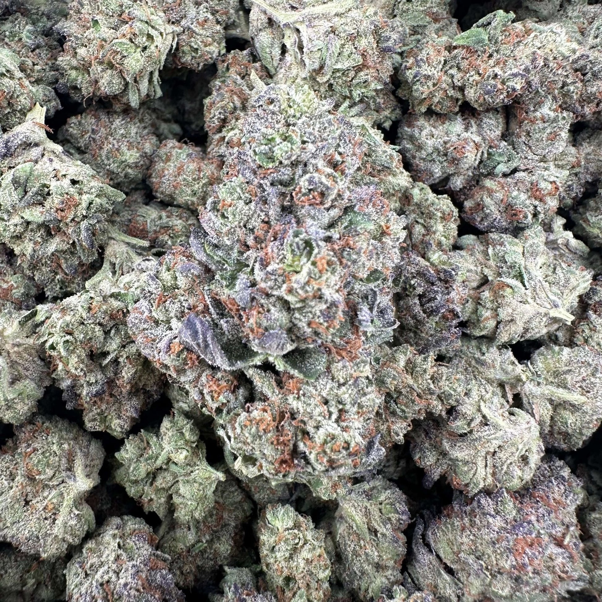 Columbia Gold Flower Wholesale