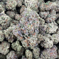 Columbia Gold Flower Wholesale
