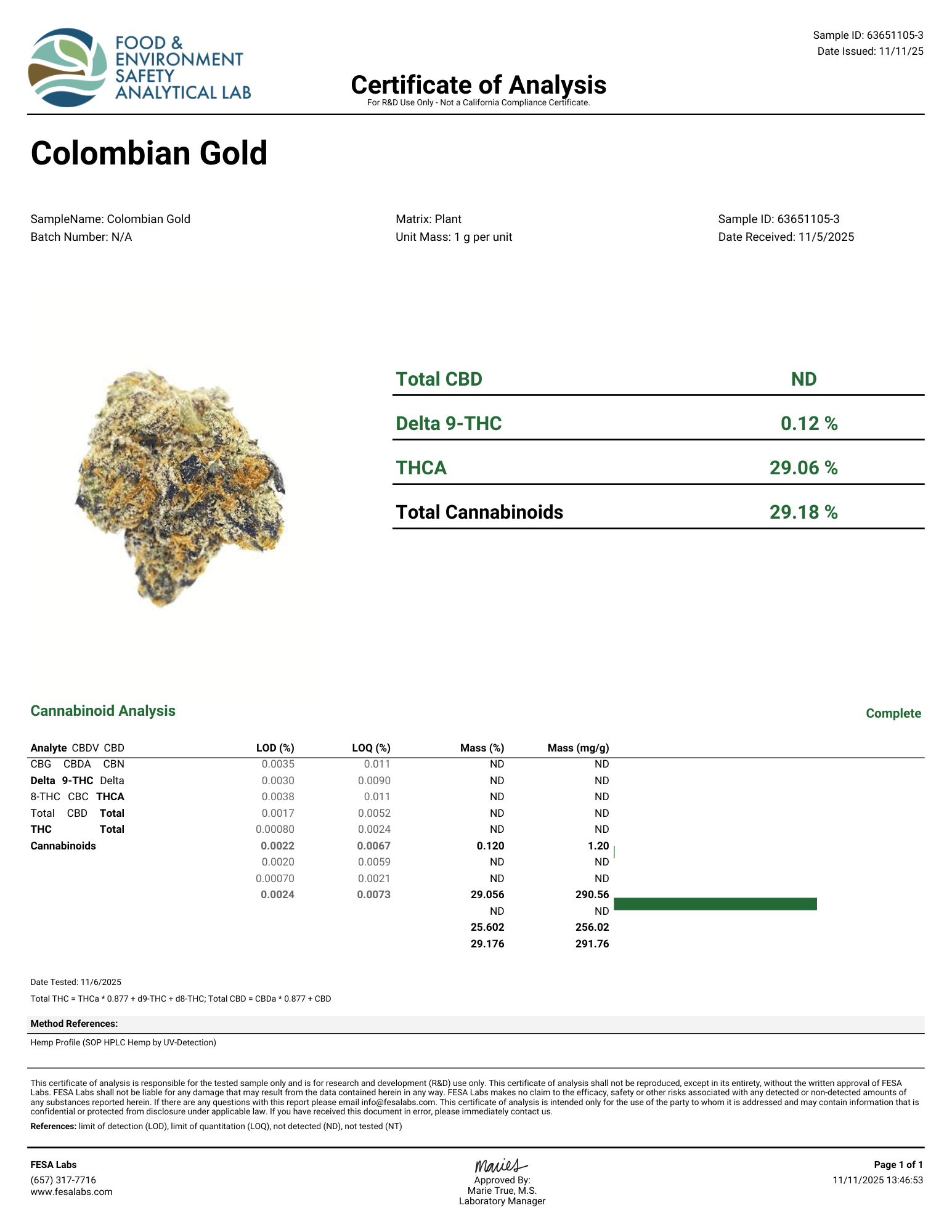 Columbia Gold Flower