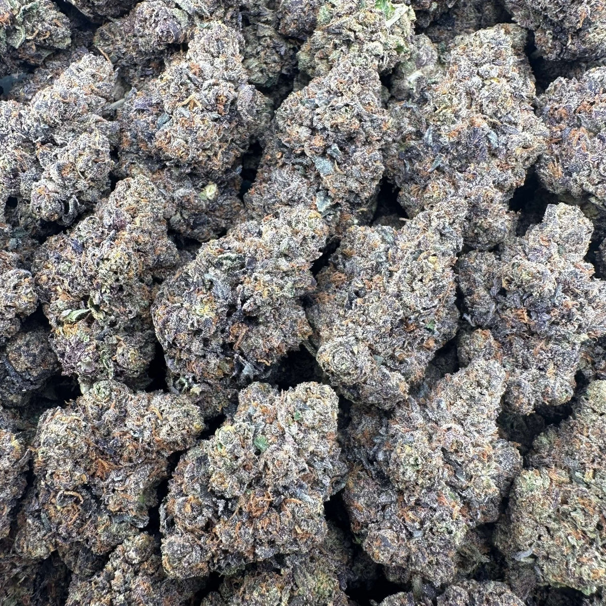 Crunch Berries Wholesale
