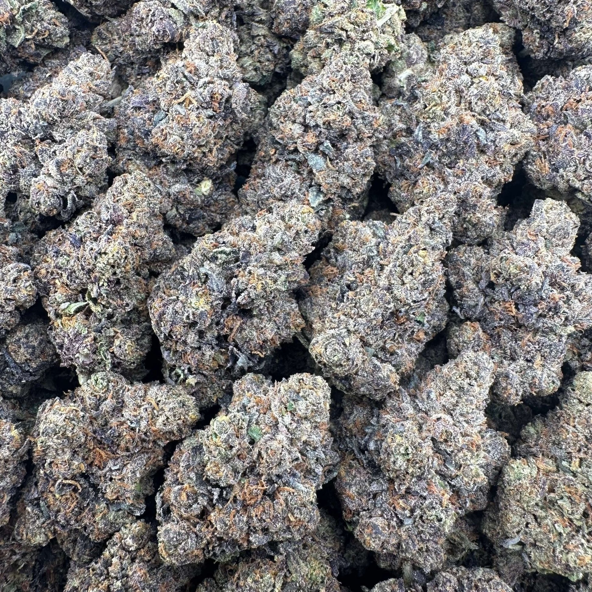 Crunch Berries Wholesale