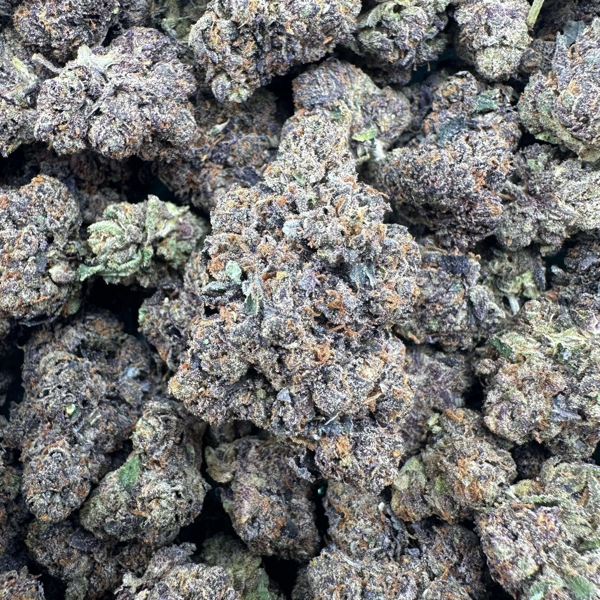 Crunch Berries Wholesale