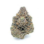 GMO Flower Wholesale