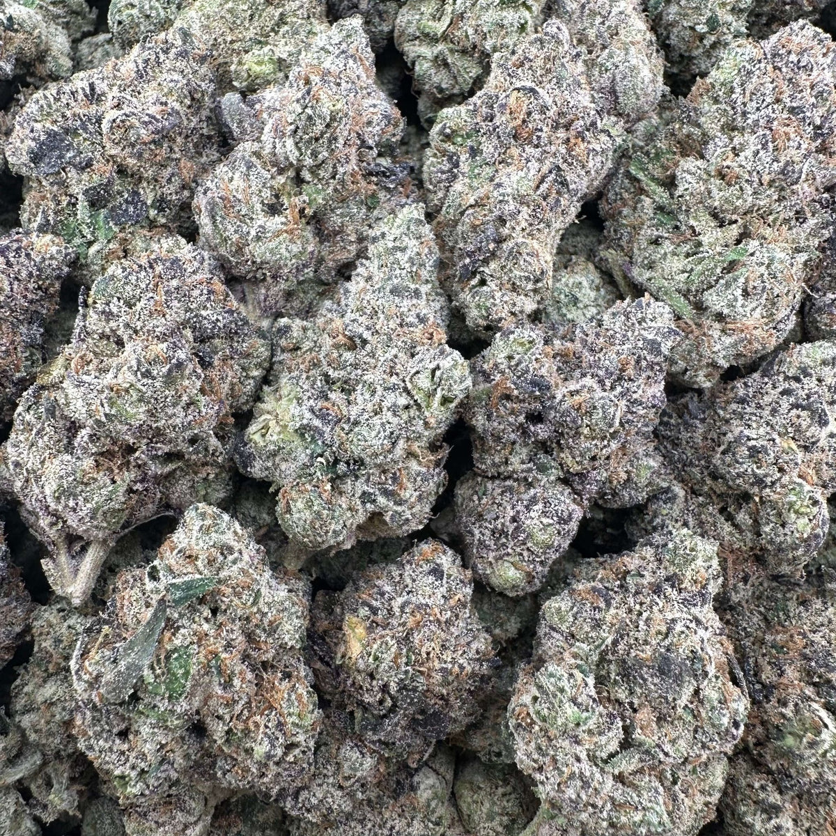 Granddaddy Purple