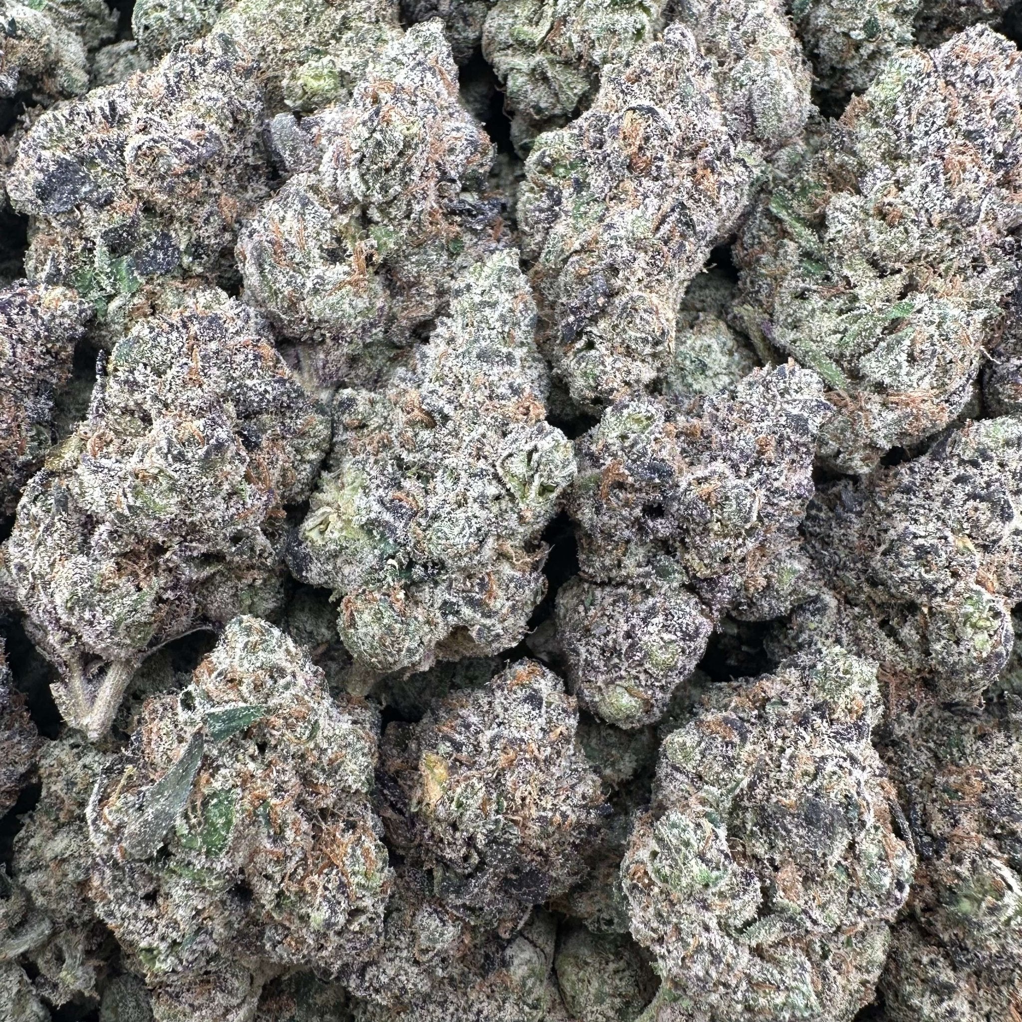 Granddaddy Purple Flower Wholesale