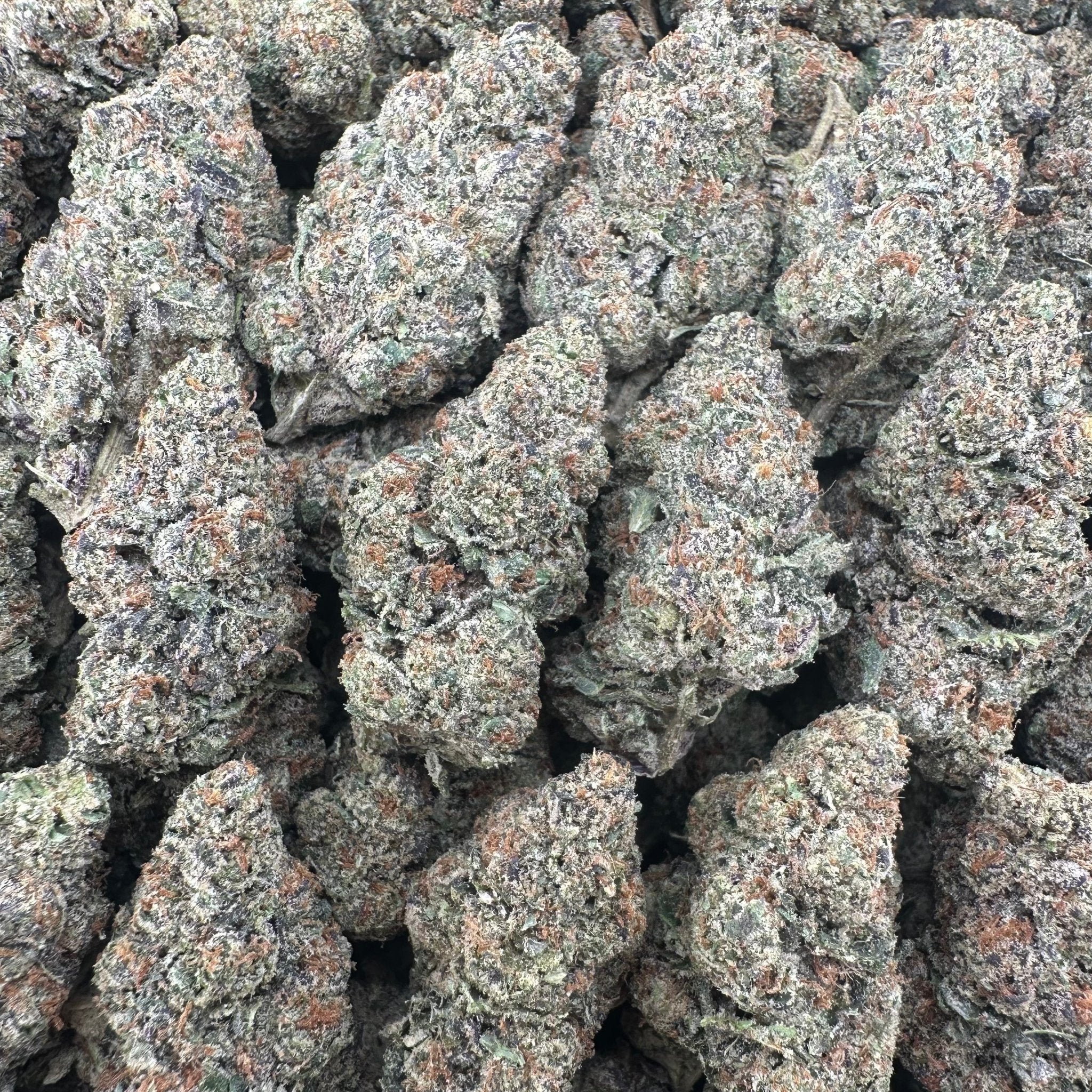 Icy Pops