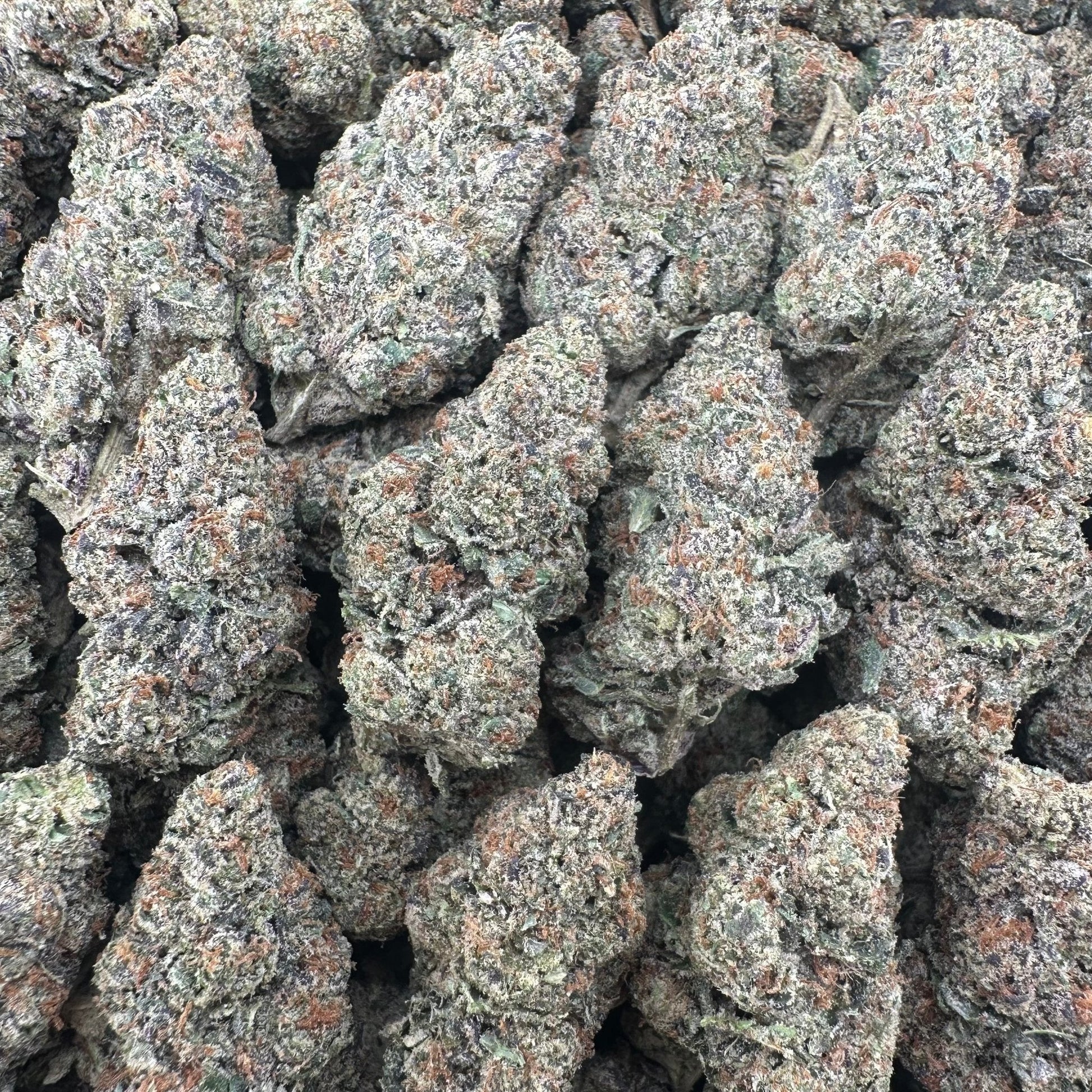 Icy Pops