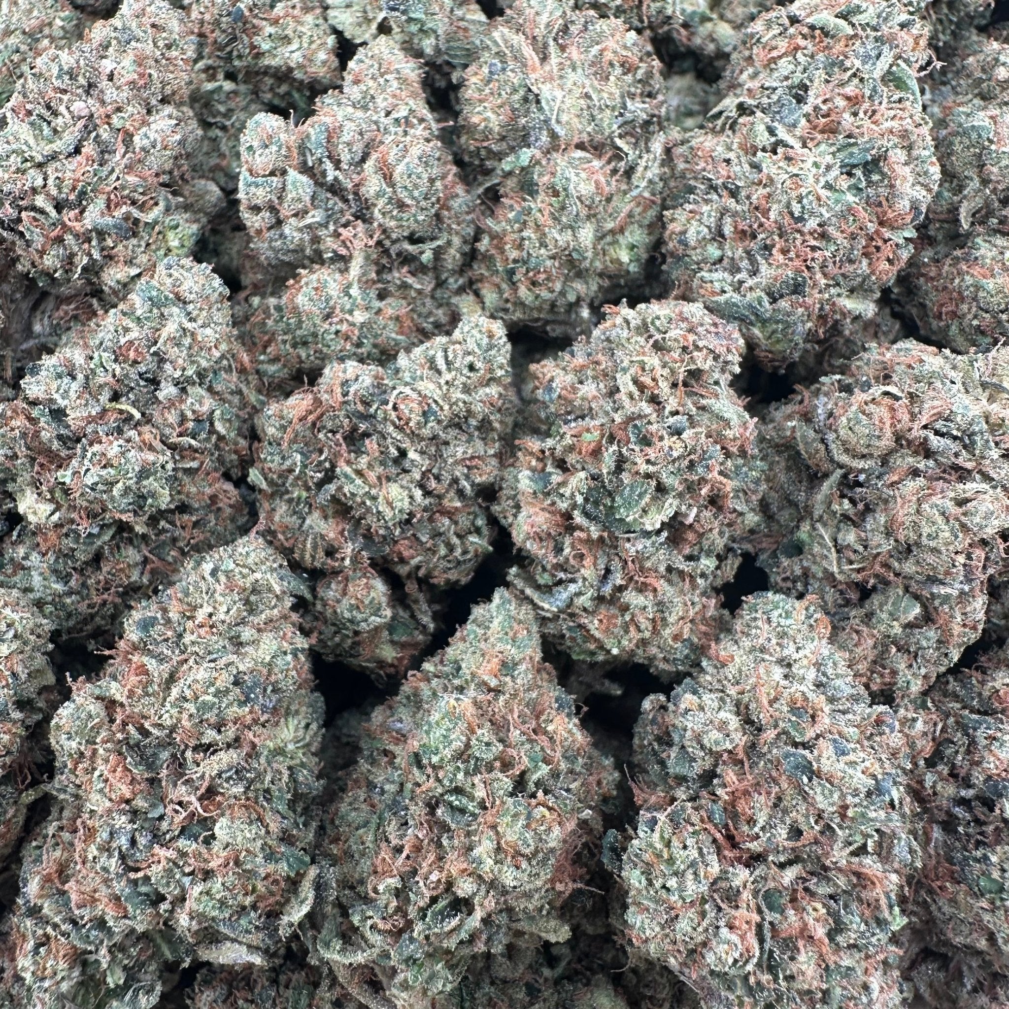 Jack Herer Flower Wholesale