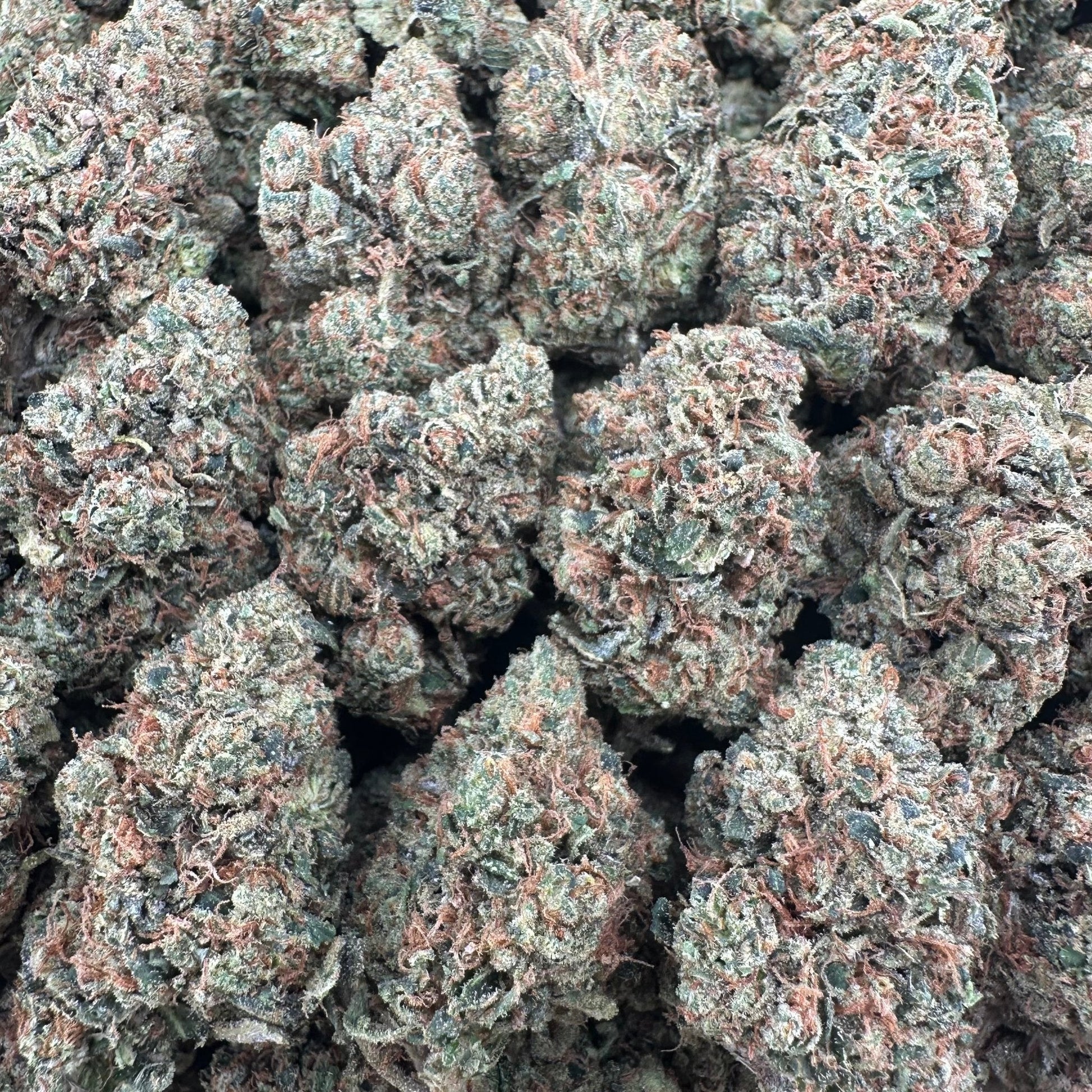 Jack Herer