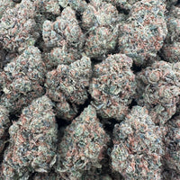 Jack Herer