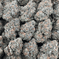 Lemon Cherry Gelato