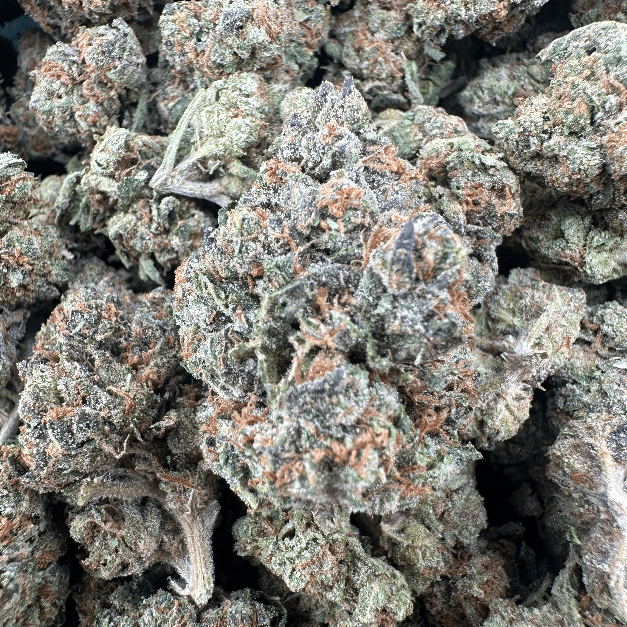 Lemon Cherry Gelato