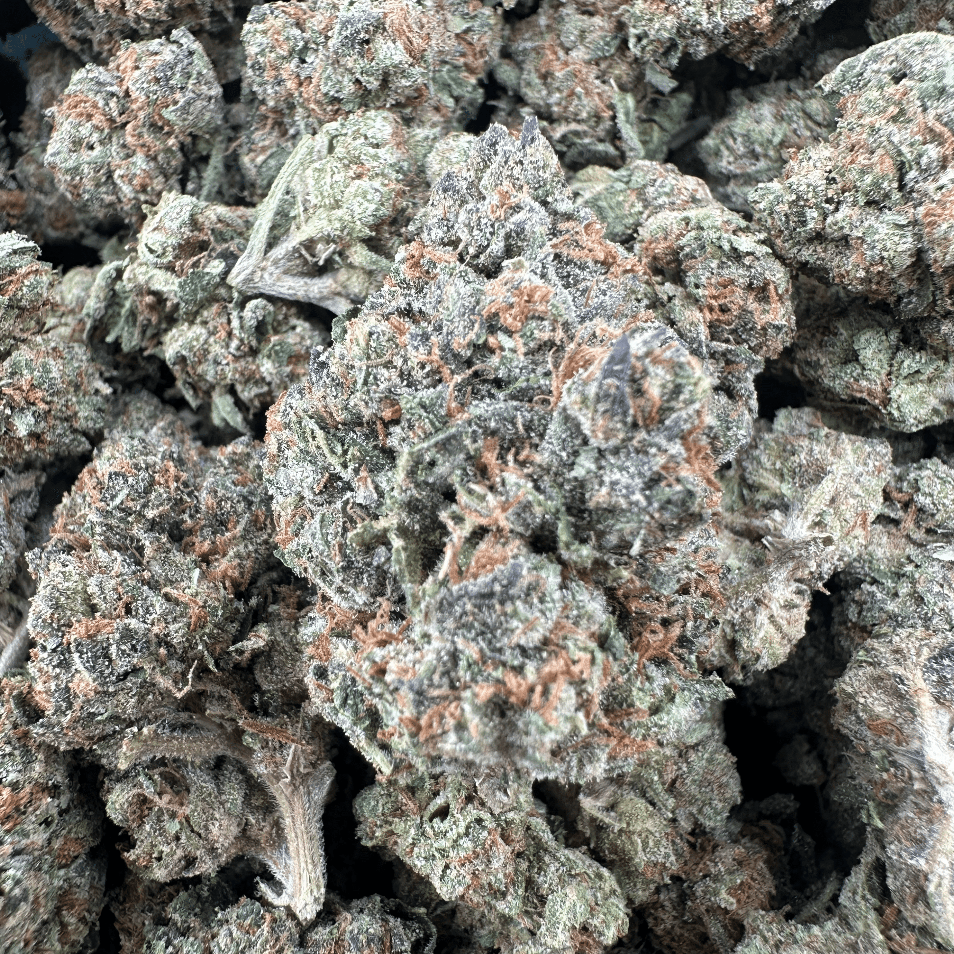 Lemon Cherry Gelato