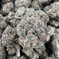 Lemon Cherry Gelato