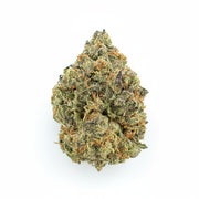 Lemon Cherry Gelato