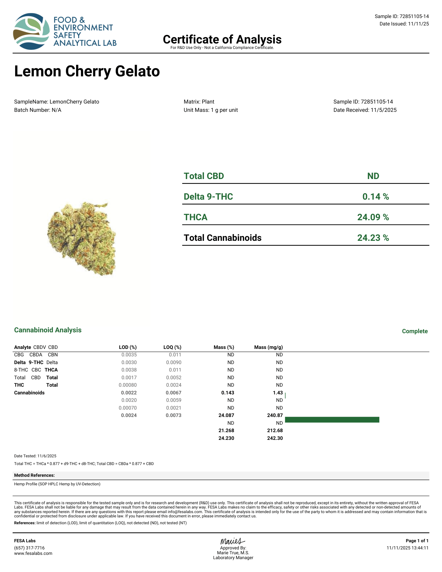 Lemon Cherry Gelato Flower Wholesale