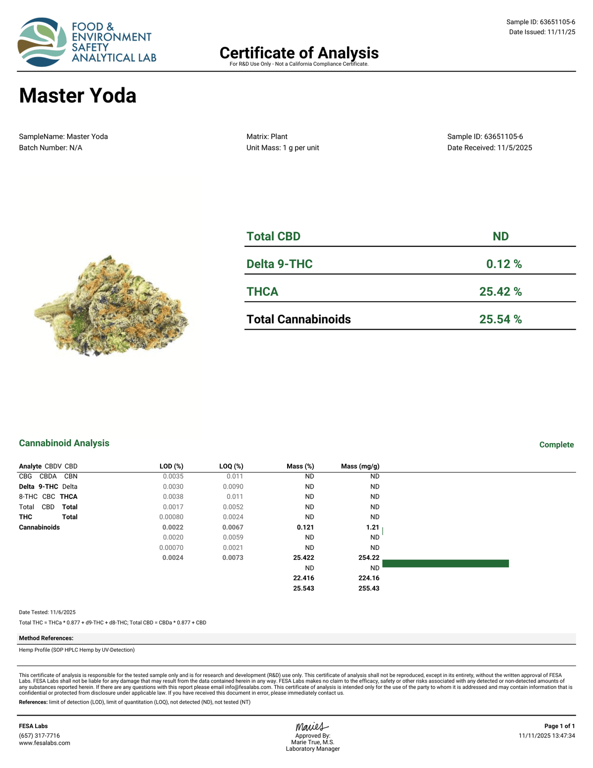 Master Yoda Flower Wholesale