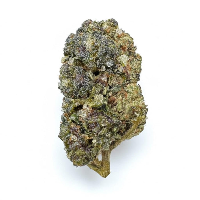 💎Orange 43 - Diamond Infused Flower