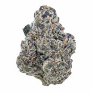 Panama Red Flower Wholesale