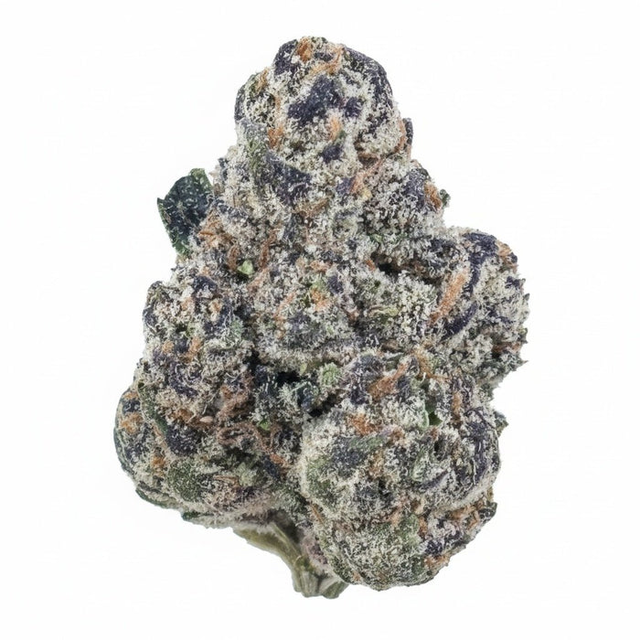 Panama Red Flower