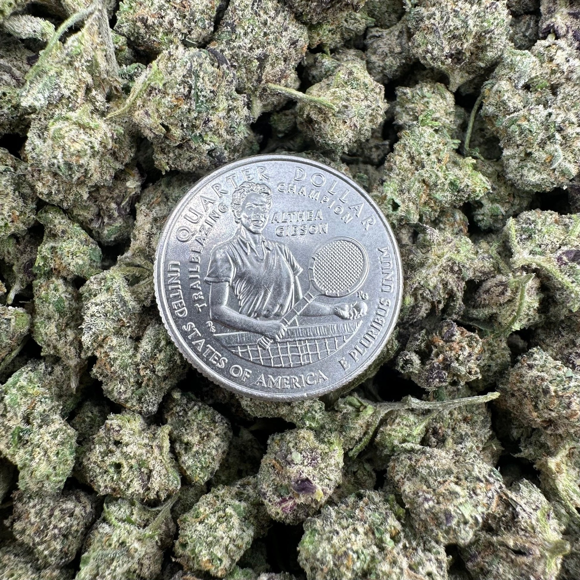 RS11 Smalls 28G Deal