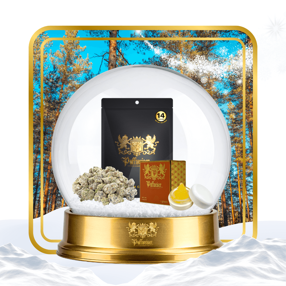 Sativa Babies Bundle