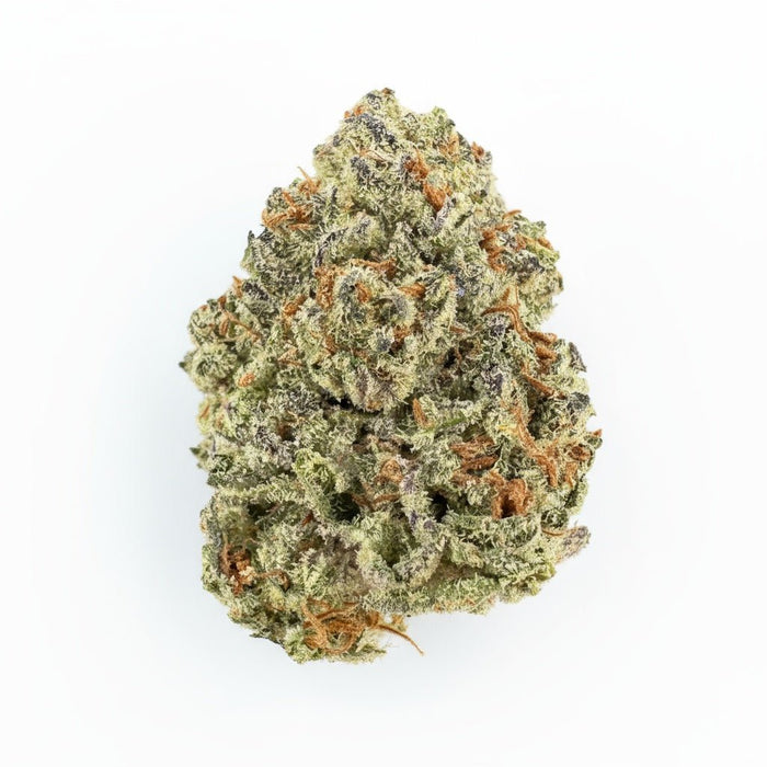 White Widow Flower