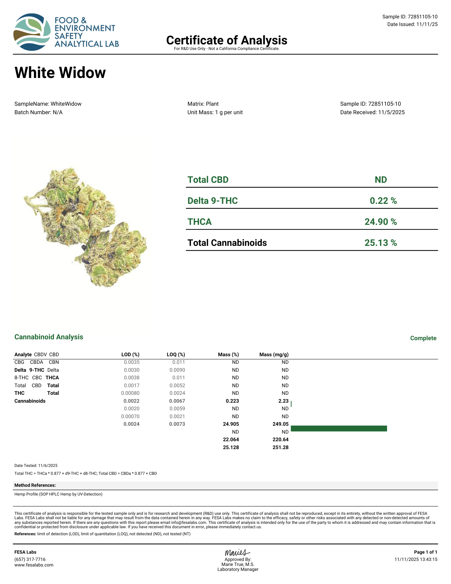 White Widow Flower Wholesale