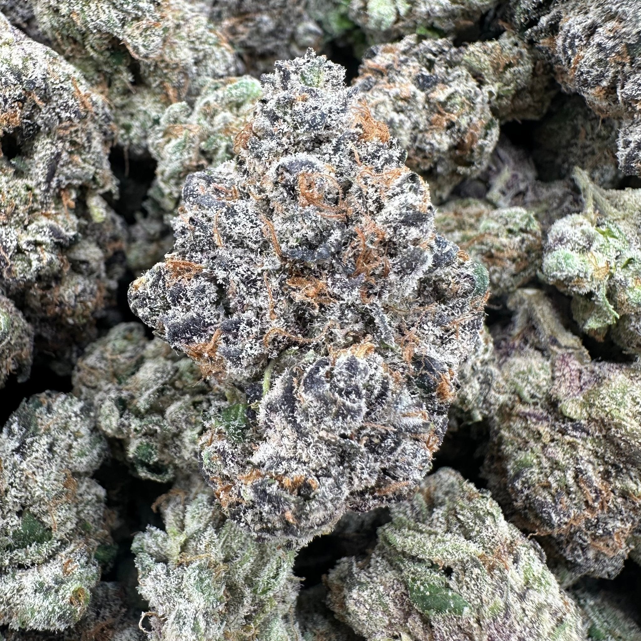 Zkittlez